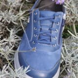 Aarau Blue