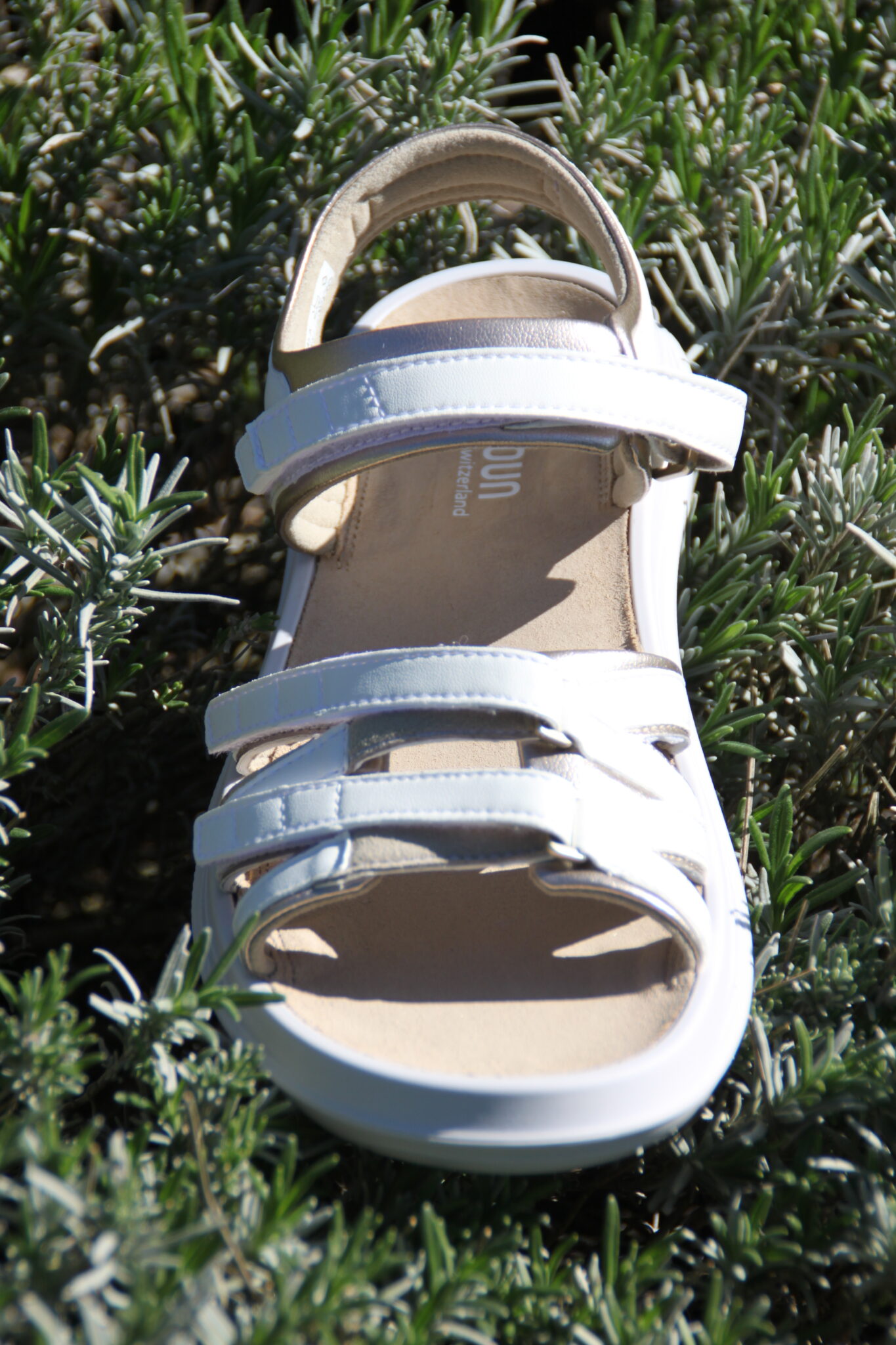 Tessin White