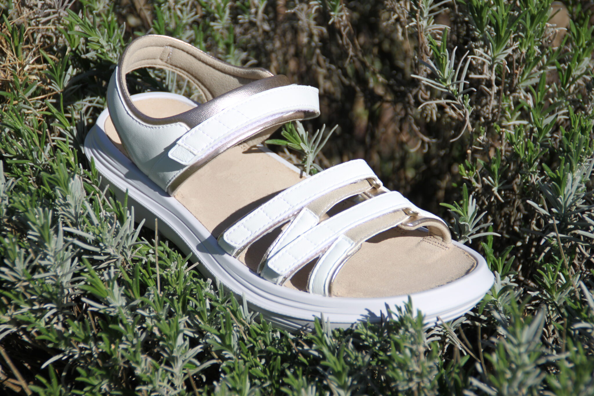 Tessin White